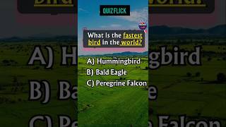 General knowledge Quiz part 354shorts [upl. by Enivid185]