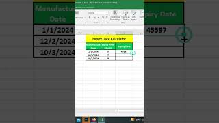 Expiry Date Calculator in Excel [upl. by Yennaiv682]