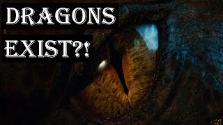 Dragons Exist  The Draconic Path amp Dragon Magick [upl. by Gora397]