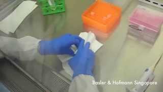 Biosafety BSL2 spill management in biosafety cabinet BSC [upl. by Curt]