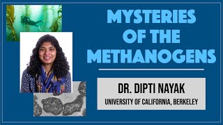 Dipti Nayak UC Berkeley 2 Mysteries of the Methanogens [upl. by Punak]