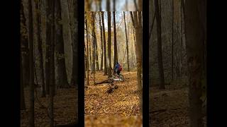 Making a bike trail on the forest part one [upl. by Assiram]