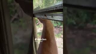 Window Removal Tip [upl. by Haimarej]