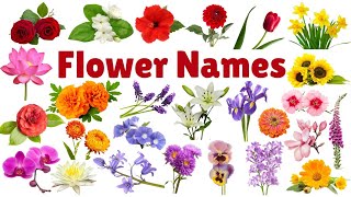 Learn Flowers Name for Kids  Flowers Name in English  flowers name with pictures flowers [upl. by Max]