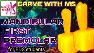 CARVE MANDIBULAR FIRST PREMOLAR  Step by step  With proper Instructions  DRAW WITH MS [upl. by Oeflein]