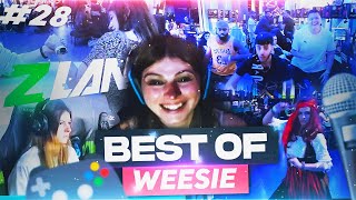 Best Of Weesie 28  Battle4 Gaming For Sidaction et ZLAN [upl. by Asyar]