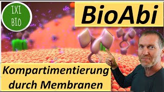 15 Punkte im Abi Heute Kompartimentierung durch Membranen  Vorbereitung auf das BiologieAbitur [upl. by Ysdnil463]