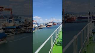 MSC is buying too much ship🚢⚓📯mariner shortvideo vlog explore msc shorts shortsfeed ship [upl. by Eide]