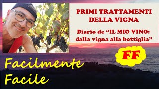 17  PRIMI TRATTAMENTI DELLA VIGNA  quotIL MIO VINO DALLA VIGNA ALLA BOTTIGLIAquot MAGGIO 2021 [upl. by Ydnal]