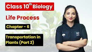 Life Processes  Transportation in Plants Part 2  Class 10 Biology Chapter 6 CBSE 202425 [upl. by Atina]