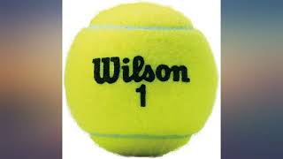 Wilson Championship Extra Duty Tennis Ball Case review [upl. by Siward]