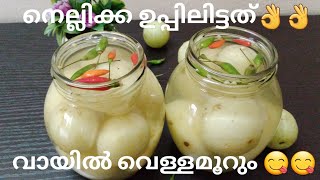 വായിൽ വെള്ളമൂറും നെല്ലിക്ക ഉപ്പിലിട്ടത്😋😋  Kerala style Nellikka Uppilittathu  Malayalam Recipe [upl. by Camile]