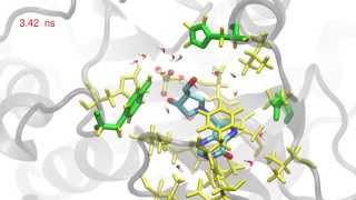 Human purine nucleoside phosphorylase in complex with DADMeImmucillinH and sulfate [upl. by Berliner409]