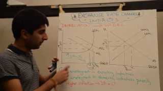 Impact of Exchange Rate Appreciations and Depreciations with Evaluation [upl. by Ahseym]