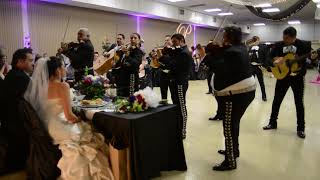 Mariachi Campanas de America  Wedding  Del Rio Texas [upl. by Elon70]