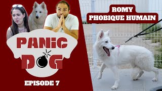 Chien PHOBIQUE des humains  PANIC DOG Ep7 [upl. by Yennep]