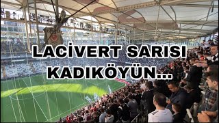 Lacivert Sarısı kadıköyün… [upl. by Vil164]