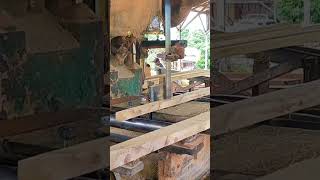 Meranti kuning wood carpentry bandsaw woodworking [upl. by Carman]