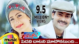 Shiva Movie  Botany Patamundi Video Song  Nagarjuna Amala [upl. by Oriel111]