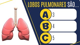 QUIZ ANATOMIA SISTEMA RESPIRATÃ“RIO 2 TESTE SEUS CONHECIMENTOS [upl. by Airamzul82]