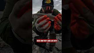 ALASKA HAS THE BIGGEST SMELT IN THE WORLD  HOOLIGAN  alaska fishing fishalaska [upl. by Eserahs]