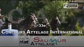 CAI de Saumur 2017 [upl. by Morocco]