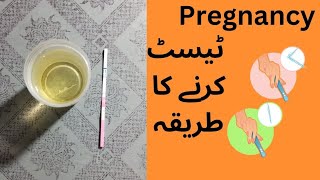 Pregnancy test  Pregnancy Test kaise karte hain  how to check pregnancy test at home [upl. by Alac337]