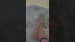 Feet in the sand ☺️ [upl. by Etana]