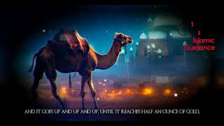 The Emotional Story Of Jabir R the Miraculous Camel [upl. by Roosevelt644]