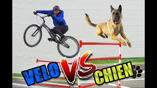 JE DÉFIE UN CHIEN  Vélo vs Chien [upl. by Anirehtac]