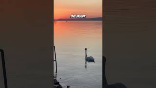 Sunset over Lake Balaton balaton hungary camping camperlife shortvideo [upl. by Luas]