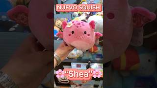 Así ganamos NUEVO squish Shea🌸 maquinadepeluches squishmallows muñelocos arcade clawmachine [upl. by Duer]