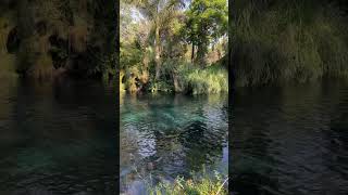 Las estacas swmming viralshort travel river frio rio love jocelyn viralreels carrera [upl. by Enelym506]