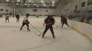 10 VS Wolverines 5on3 Nelson tries to bank it from behind Wolverines hit rebar Farley hits pads [upl. by Rednaeel909]