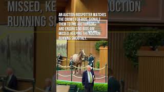 Auction Bidspotter  Keeneland Sales [upl. by Meredeth]