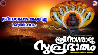 ശ്രീനാഗരാജ സുപ്രഭാതം  നാഗരാജ ഭക്തിഗാനങ്ങൾ  Hindu Devotional Songs Malayalam [upl. by Lipps417]