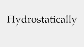 How to Pronounce Hydrostatically [upl. by Loveridge142]