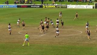 Magpies v Tigers Highlights  Round 20 2016 [upl. by Ulrika]