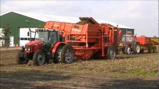 Potato Harvest 2012  Massey Ferguson 5455  Grimme DR1500 [upl. by Yrakcaz413]