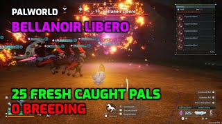 Palworld Bellanoir Libero  25 Fresh Pals  Rank 0  NO Breeding Condensing Souls or Traits [upl. by D'Arcy521]