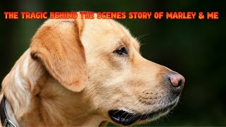 The Tragic Behind the scenes Story of Marley amp Me 2008 [upl. by Balf]