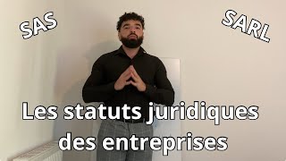 Les statuts juridiques des entreprises en France [upl. by Laud529]