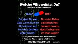 Welche Pille wählst Du 🔵🔴 Schreib es in die KommentareLässt Du Dir Zeit oder bleibst Du im Plan [upl. by Nitsua642]