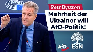 Mehrheit der Ukrainer will AfDPolitik – Petr Bystron AfD [upl. by Etteb]