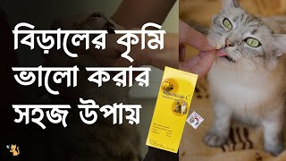 বিড়ালের কৃমির ঔষধ  Cat Deworming  Helminticide L  Pet House BD [upl. by Repsihw]