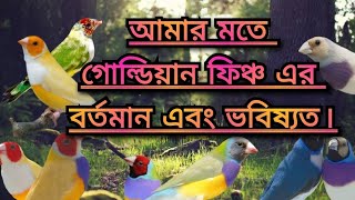 আমার মতে গোল্ডিয়ান ফিঞ্চ এর বর্তমান এবং ভবিষ্যত।🙏🙏🙏 [upl. by Adda462]