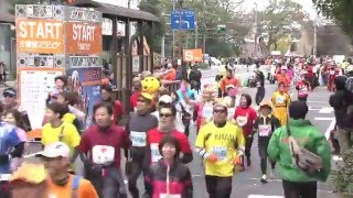 【第54回 愛媛マラソン】 スタート地点の全ランナー通過映像 [upl. by Aihsram360]