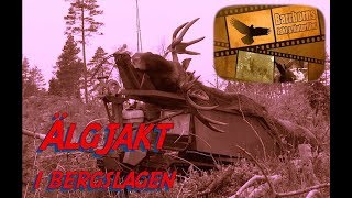 Älgjakt i Bergslagen Moosehunt in Bergslagen Sweden part 1 [upl. by Sollows16]