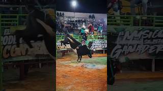 JARIPEO EXTREMO QUE JINETAZO🤠🔥🔥 jaripeo shorts [upl. by Mauceri739]