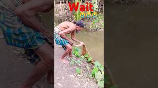 Fishing in the village short foryou viralvideo [upl. by Arob]